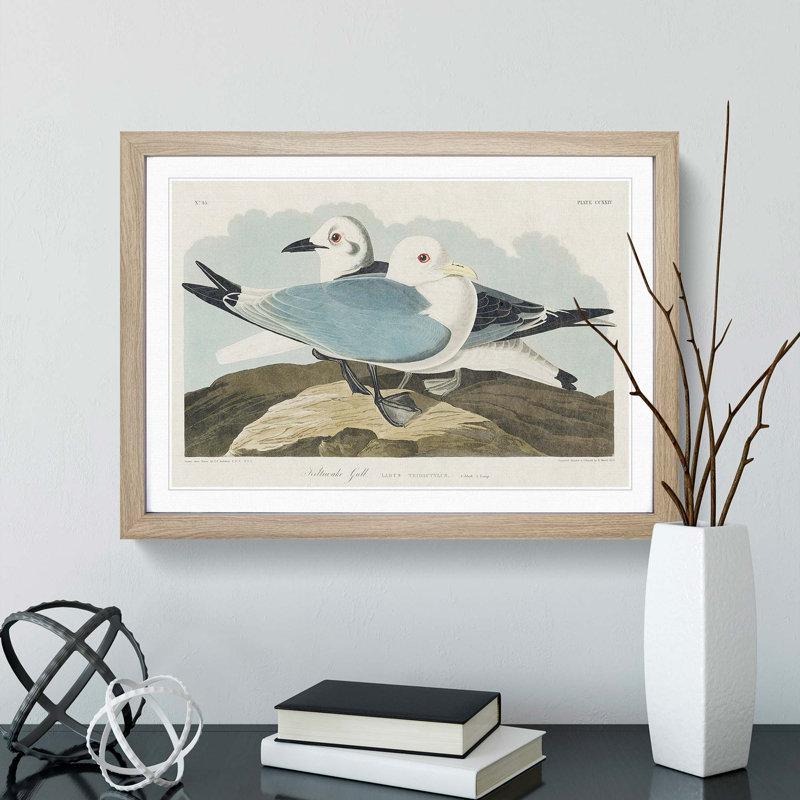 Two Kittiwake Gulls by John James Audubon - Picture Frame Painting Print, Oak Framed, 27cm H x 36cm W x 2cm D