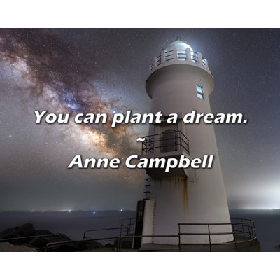 Anne Campbell Quote: You can plant a dream.
