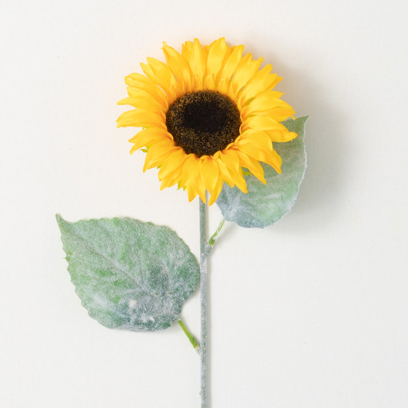 Sprays de tournesol