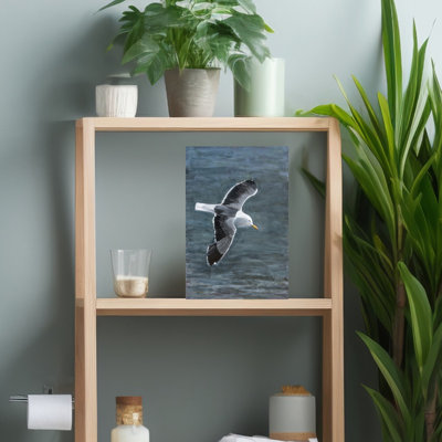 Soaring by Claire Lerner - Wrapped Canvas Print
