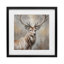«Rustic Stag with Majestic Glance», reproduction sous verre encadrée, conception de Susan Arnot