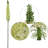 Silk Daisy Arrangement