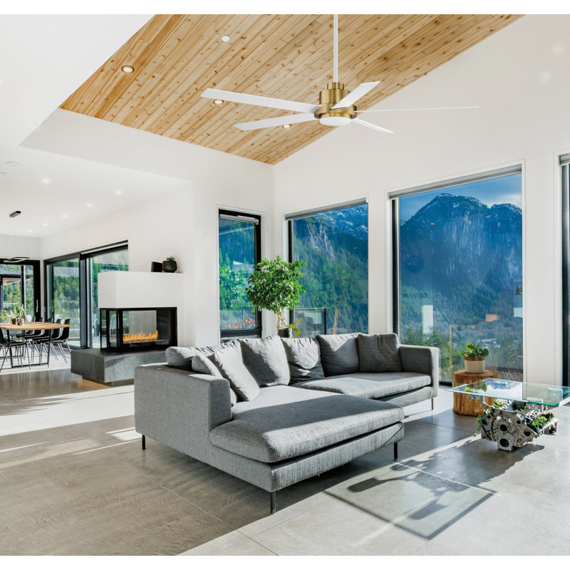 Isobel 60'' Ceiling Fan with LED Lights