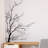 AC223 Plants & Flowers Wall Decal