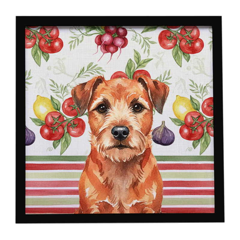 Red Border Terrier Légumes, impression sur métal encadrée, Rouge