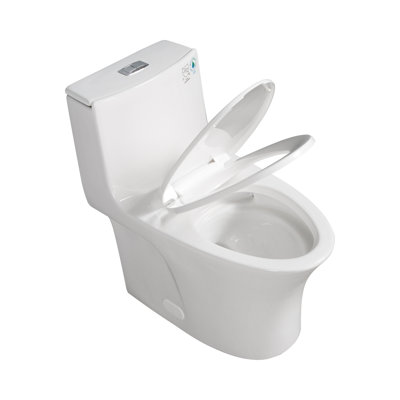 One-Piece Toilet With Skirted Design