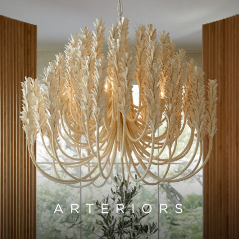 ARTERIORS