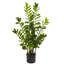 Faux Fern Plant in Pot-1851129578