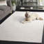 Tapis ivoire en laine / coton touffeté à la main Senya-1458485253