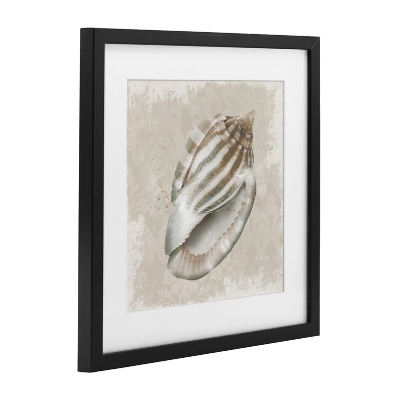 Conch Shell sur motif rétro encadré sous verre, conception par Conrad Knutsen, H 13 po x l 13 po, Cadre noir minuit