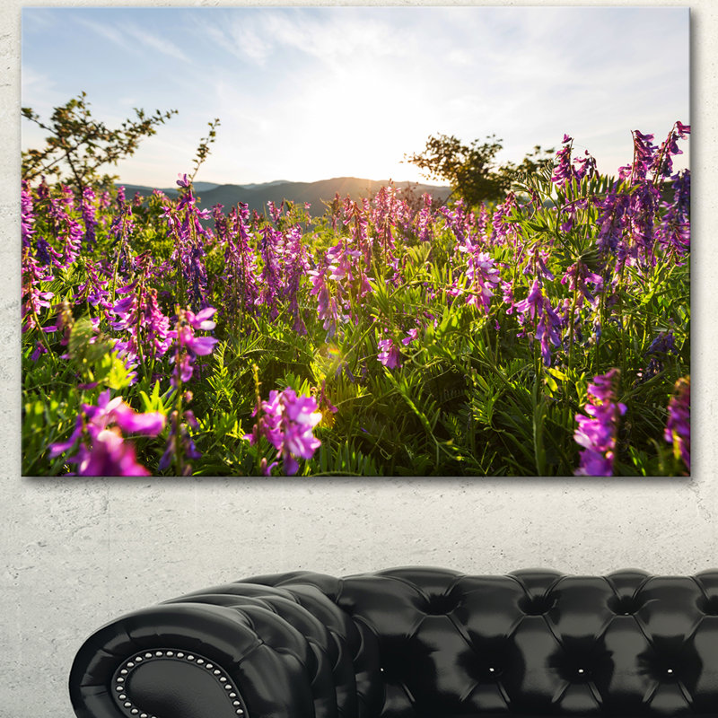 « incroyable prairies d’été avec des fleurs », reproduction de photo sur toile tendue, H 16 po x l 32 po