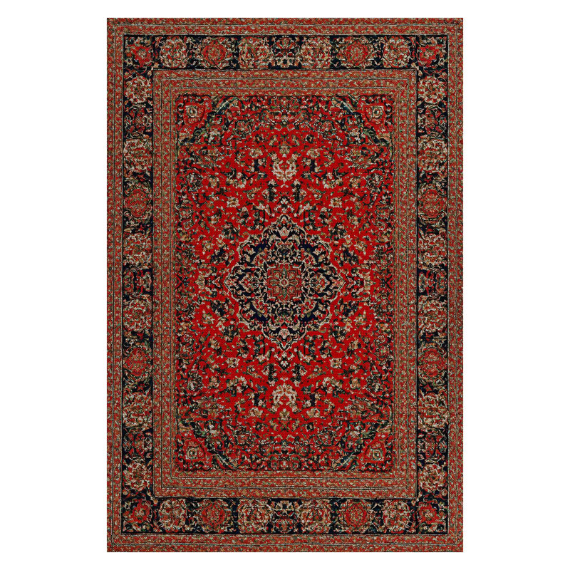 Tapis rouge / brun en chenille de coton à imprimé oriental Guria, Rectangle 2 pi 8 po x 5 pi