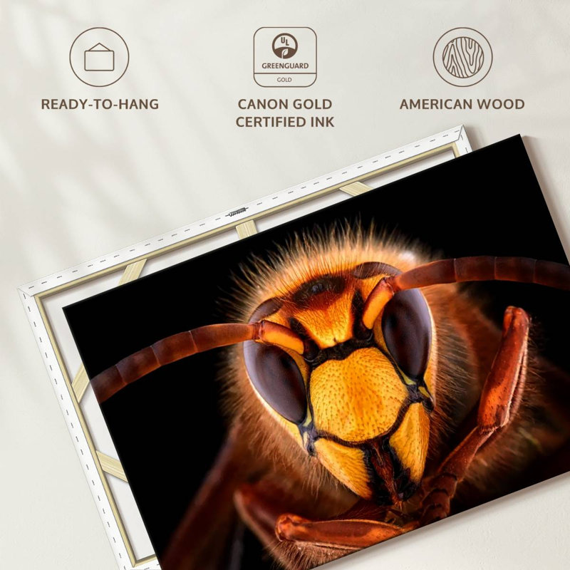Brampt European Hornet Head