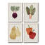 Toile encadrée organique Premium Veg IX - prête à être accrochée-992978418-992978419