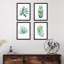 «Pastel Green Tropical Forest Jungle Plants», ensemble de 4 impressions murales encadrées sur papier, 4 pièces-93012701-93012699