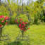 Ensemble de 2 grandes jardinières rondes en métal avec plateaux amovibles décoration de jardin-71091468