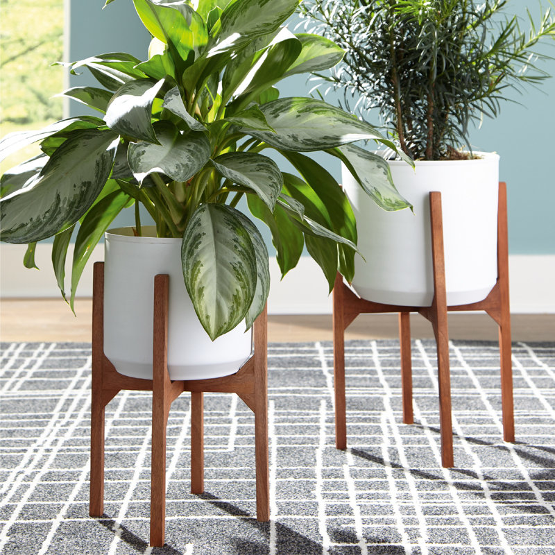 Bariah Elevated Planter