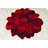Kunzler Performance Floral Indoor Rug-1924757521