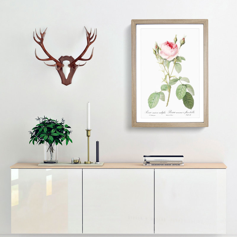 Moss Rose in Pink by Pierre-Joseph Redoute - Picture Frame Painting Print, Oak Framed, 36cm H x 27cm W x 2cm D
