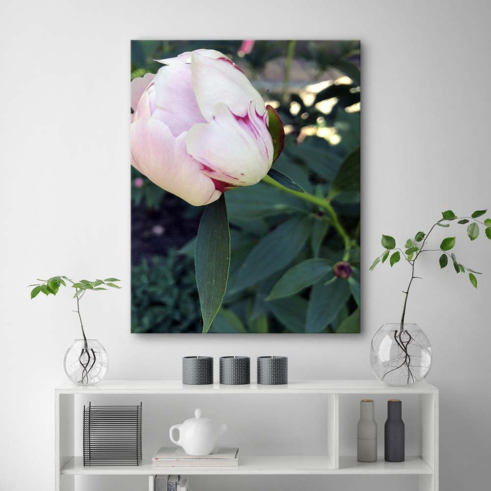 Leinwandbild White peony