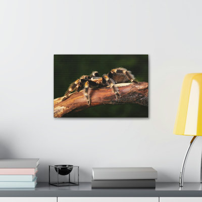 Wall Art on Canvas