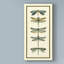 « libellule collector i », reproduction d’impression sur toile tendue-33423740