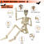 Ensemble de 2 décorations de squelette d'Halloween grandeur nature, squelettes en plastique posables sur tout le corps avec joints réglables, accessoires de squelette humain effrayant pour la cour, le patio, la pelouse, le jardin, la maison hantée et la fête d'Halloween