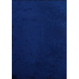 Rapture Area Rug in Blue