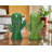 Cactus Salt And Pepper