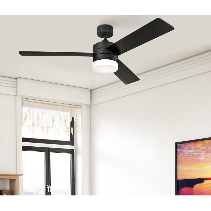 Franchek 52'' Ceiling Fan with LED Lights, Black with Black/Bleached Cherry Blades