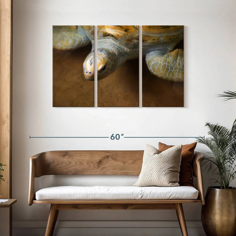 Brampt Stunning Turtle, 28" H x 45" W