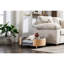 Lit pour chien Scandinavian Estesthetic