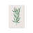 Green Leaf Impressions II Wrapped Canvas-1371646253
