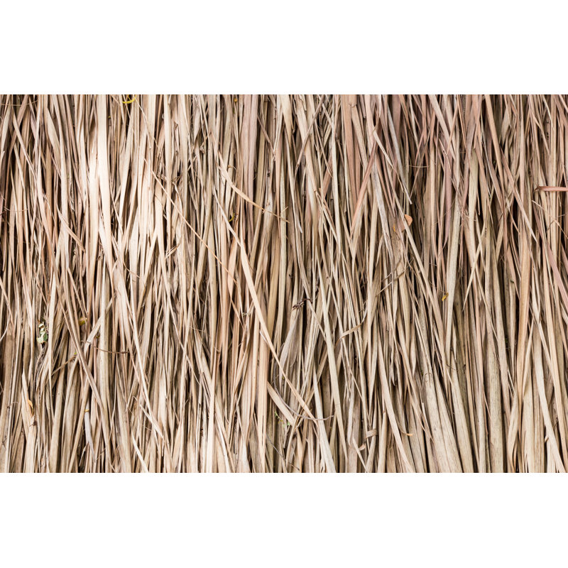 Thatch Roof Background by SINGTO2 - Wrapped Canvas Print, 30cm H x 46cm W