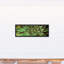 Spotty Succulent, reproduction d'art sur toile-989655733