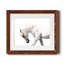 Neutral Stallion - Photographie avec cadre photo-2068235369-2068235374