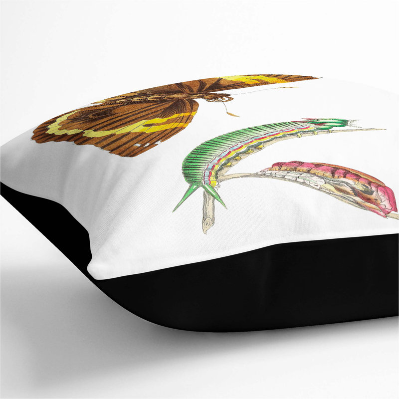 Square Throw Cushion, 55cm H x 55cm W x 20cm D, Black