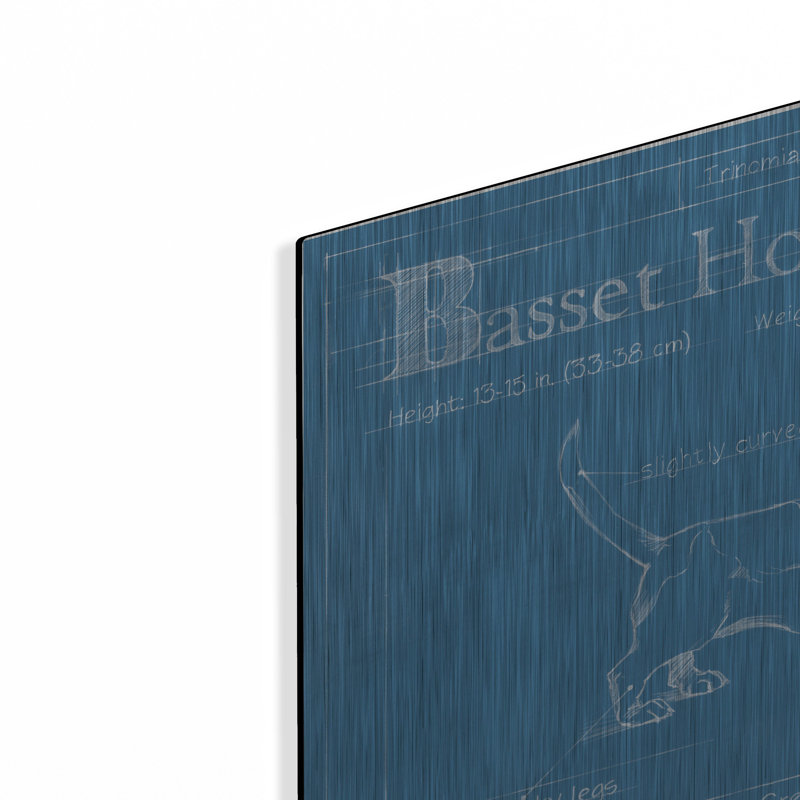 «Blueprint Basset Hound» par Ethan Harper, H 12 po x l 16 po