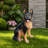 Outdoor Dog Statue