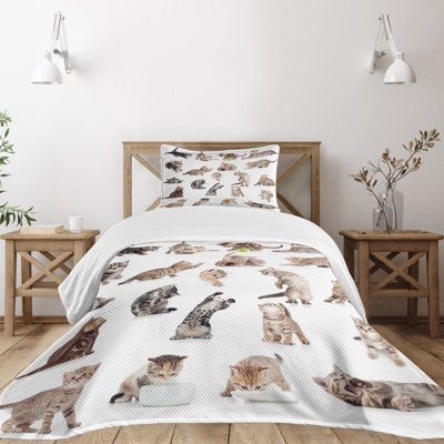 Ambesonne Cat Bedspread Set Funny Playful Cats Image Brown Black White