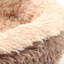 Beem Orthopedic Polyester Pet Bed-2029478778-2029478779