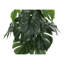 Plante artificielle