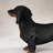 Black and Tan Dachshund Garden Statue-136367508