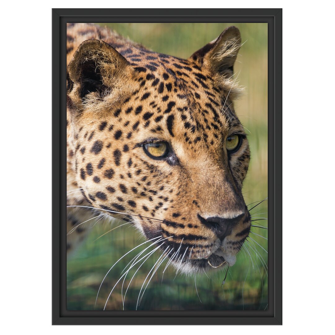 Gerahmtes Wandbild schleichender Leopard