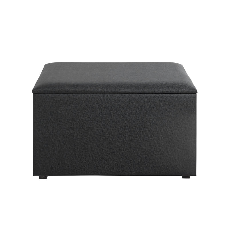 Krystof 65cm W Rectangle Footstool with Storage, Black