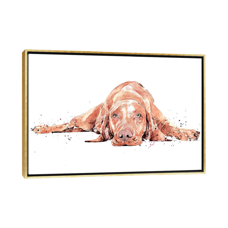 Vizsla Flat Out par EdsWatercolours - Imprimé, H 18 po x l 26 po x P 1,5 po, Toile encadrée d'or, Pas de tapis