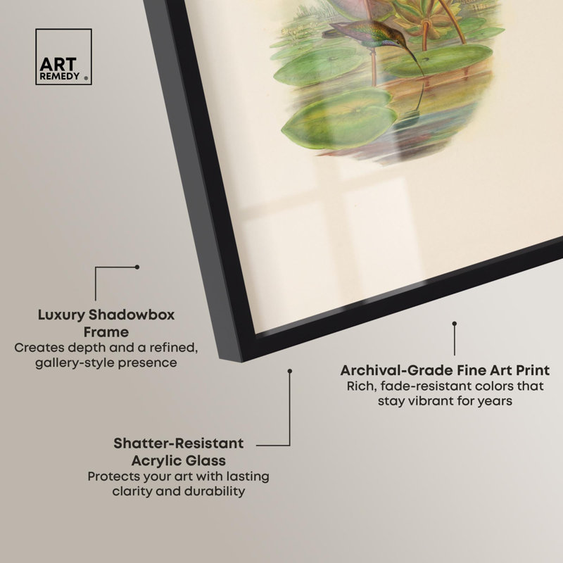 «Lily Pond Shadowbox Art botanique» par Art Remedy, H 16 po x l 11 po, Noir
