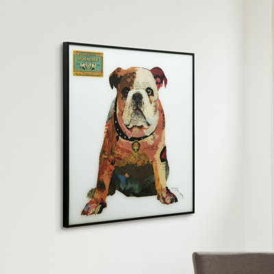 Apphia " Men's Best Bully " by Alex Zeng