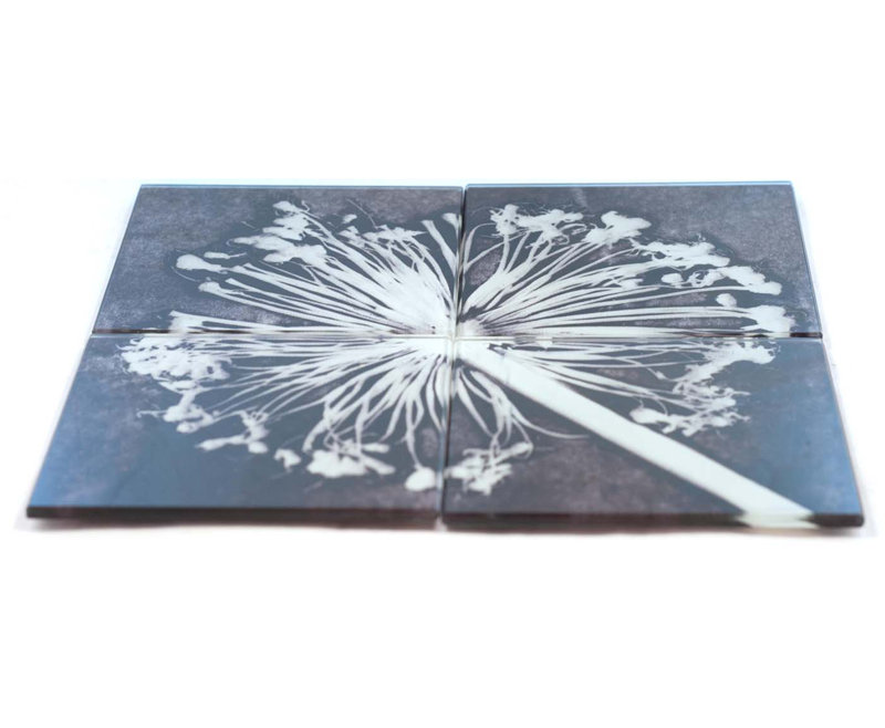 Guynn Glass Square 1 Piece Coaster