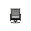 Wexler Outdoor Swivel Lounge Chair-1099678786-1102391103